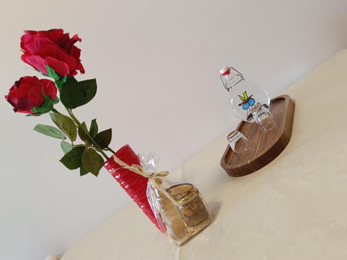 Apartman Ante Gospić المظهر الخارجي الصورة